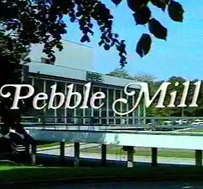 Picture for song 'Pebble Mill at One Theme' by artist 'Previous Signs of Decay'