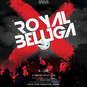 Picture for song 'OWN THE NIGHT' by artist 'royal beluga'