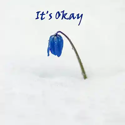 Picture for song 'It's Okay' by artist 'Sean Ferree'
