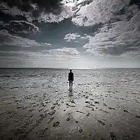Picture for song 'Too Low Terrain' by artist 'the lost highway'