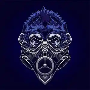 Picture for song 'GAS' by artist 'N a v i k'