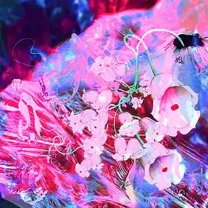 Picture for song 'Lil Keed x Nick Mira Type Beat - Bird Wave 140 bpm' by artist 'WHAT?BOYBEATS'