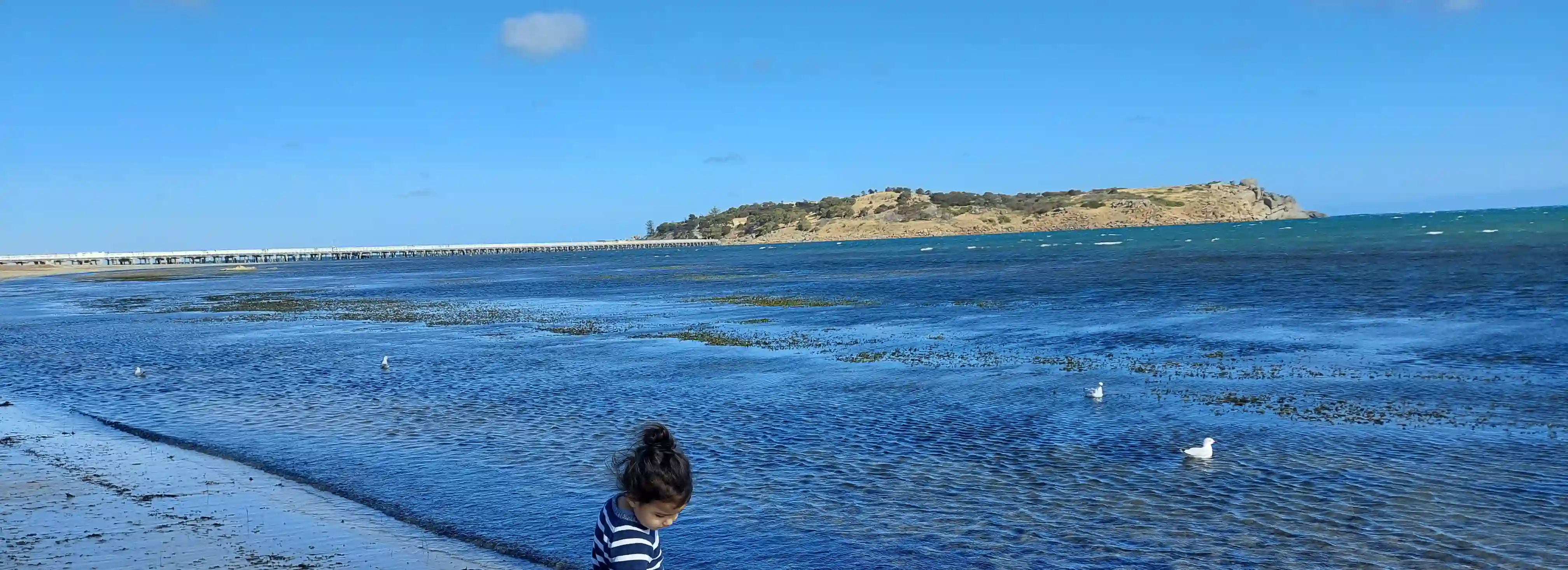cover pic