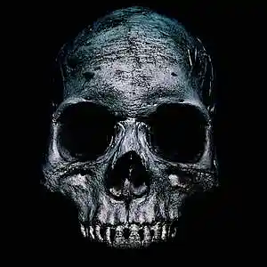 Picture for song 'EMPTINESS' by artist 'HOLLYWOOD LEGEND PRODUCTIONS'