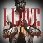 Picture for song 'I Love My Haters' by artist 'MonoTone Beats'