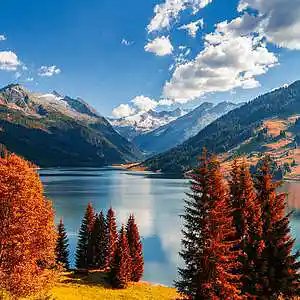 Picture for song 'proselyte (part 2)' by artist 'Ozostomia2'