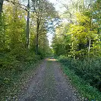 Picture for song 'Kein Weg zu weit' by artist 'Sandra Bronder'