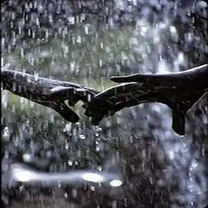 Song picture