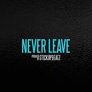 Picture for song 'Never Leave (BUY 1 GET 4 FREE)' by artist 'STICKUPBEATZ (US)'