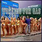 Picture for song 'Working For Gas' by artist 'The Whale Fiat Lux'