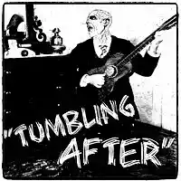 Picture for song 'Tumbling After' by artist 'Turtle Necromancer'