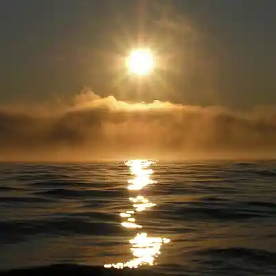 Picture for song 'london party' by artist 'veezy vee'