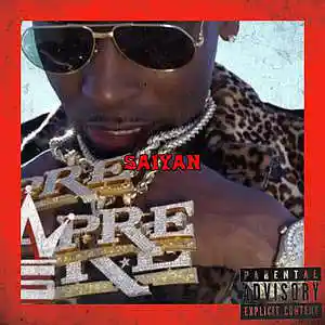 Picture for song 'Saiyan' by artist 'Zaysace P'