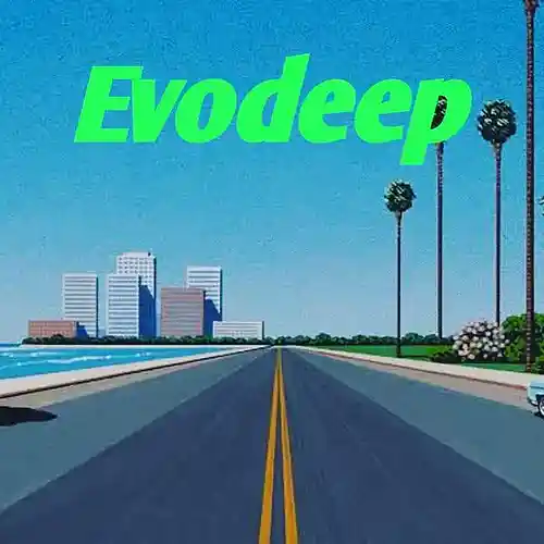 Picture for song 'Evodeep-Electronic in the making' by artist 'Evodeep'