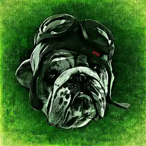 Picture for song '[FREE] EAZYYY - BEAT FOR YG [BOUNCE]' by artist 'IOINO Drugz Beats'