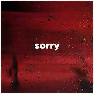 Picture for song 'Sorry - Xxxtentacion x 6LACK Type Beat' by artist 'Jeyk Beats'