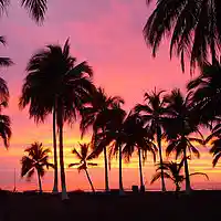 Picture for song 'Last Dance - FREE DL' by artist 'KMBeatsOfficial'