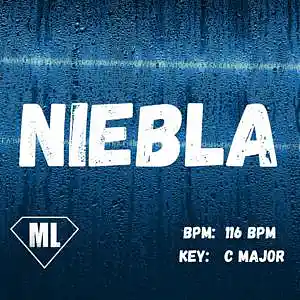 Picture for song 'NIEBLA - Mendi Like (116 BPM - C Major)' by artist 'Mendi Like'