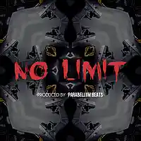 Picture for song 'No Limit' by artist 'Parabellum Beats'