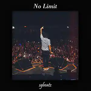 Picture for song 'No Limit - Polo G x Lil Tecca Type Beat 2023' by artist 'SG Beatz'