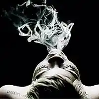 Picture for song '*New* Mellow High' by artist 'Spade and Bass'