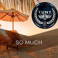 Picture for song 'So Much' by artist 'Tuny Beats'