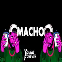 Picture for song 'Macho (Prod. Young Forever Beats)' by artist 'Young Forever Beats'