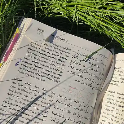 Picture for song '20240831_161241_Regeln_der_Straße_fsHadith_' by artist '786 scheint-Al'lahs Bande'