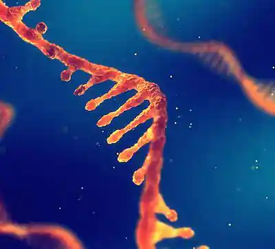 Picture for song 'mystery' by artist 'abiliphy'