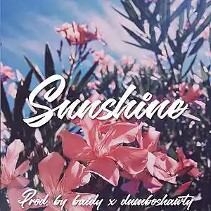 Picture for song 'LOVV66 Type Beat - "Sunshine" (BUY 2 GET 1 FREE)' by artist 'baidy'