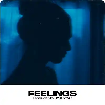 Picture for song 'Feelings - Lil Peep Type Beat' by artist 'Jeyk Beats'