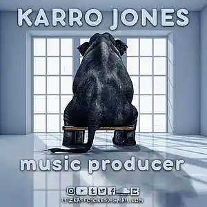 Picture for song 'E.I.T.R. "ELEPHANT IN THE ROOM' by artist 'KARRO JONES'