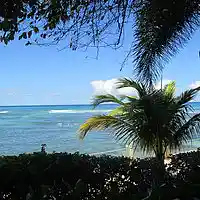 Picture for song 'Saturday Night Disco - 42515 127 PM' by artist 'King James Entertainment'