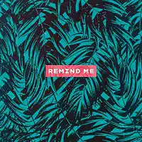 Picture for song 'Remind Me' by artist 'Kontrabandz'