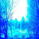 Picture for song 'the feast in the woods' by artist 'labbor'