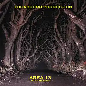 Picture for song 'Area13 [1]' by artist 'luca marussich'