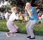 Picture for song 'Those Old Time Lovers' by artist 'Mike Nobel Country Songs'