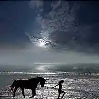 Picture for song 'PASSION LADY' by artist 'NO 19'