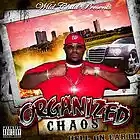 Picture for song 'Triple Overtime' by artist 'OrganizedChaos4Life'