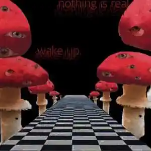 Picture for song 'flowerboy' by artist 'roadrach'