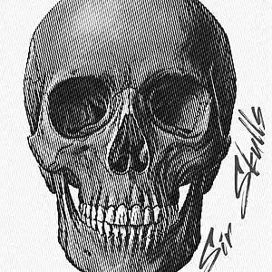 Picture for song 'Sir Skulls - Possessions' by artist 'Sir Skulls'