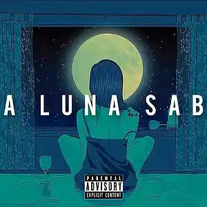 Picture for song 'Sold/BASE DE RAP BOOM BAP LOFI GUITARRA UNDERGROUN' by artist 'Stc Beats VB'