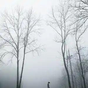 Picture for song '"Tricks" Beat for Sale' by artist 'whoDeanyBeatz'