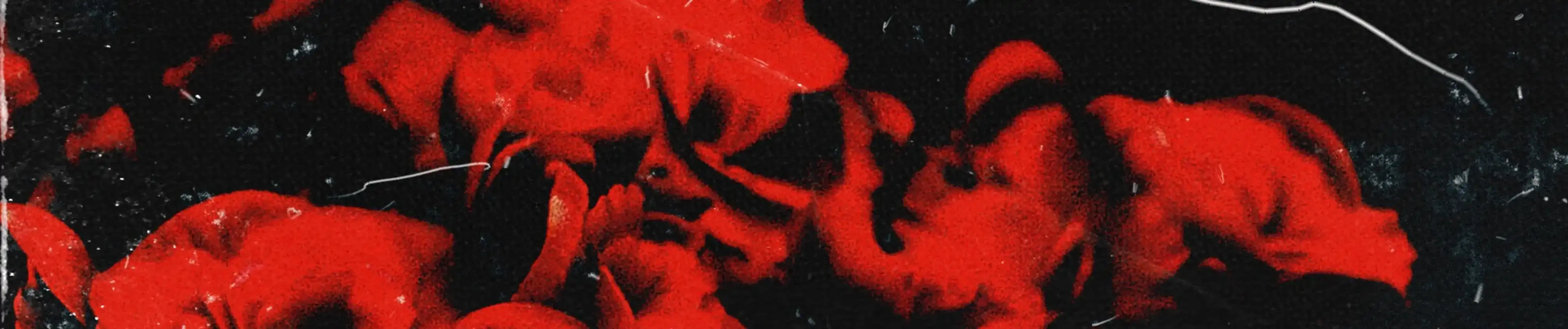 cover pic