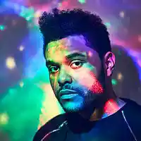 Picture for song 'LOVE THEME (Weeknd x Daft Punk)' by artist 'BEATS by Diamond Style'
