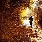 Picture for song ''Autumn Walk' (Lil Wayne/Bruno Mars)' by artist 'Beats by Kashar'