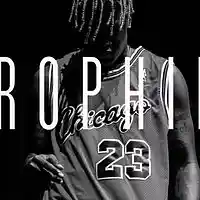 Picture for song 'TrophiesHyp33xit3 Collab' by artist 'Cashualbeats'