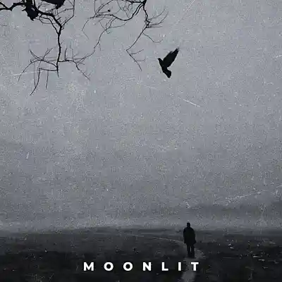 Picture for song 'Moonlit' by artist 'Erawy'