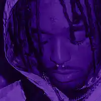 Picture for song '(NEW) Boomerang ' by artist 'LEXI BANKS'