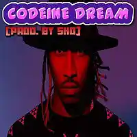 Song picture